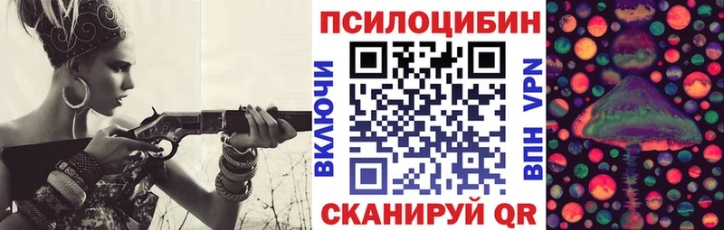 сколько стоит  Ипатово  Псилоцибиновые грибы Psilocybine cubensis 